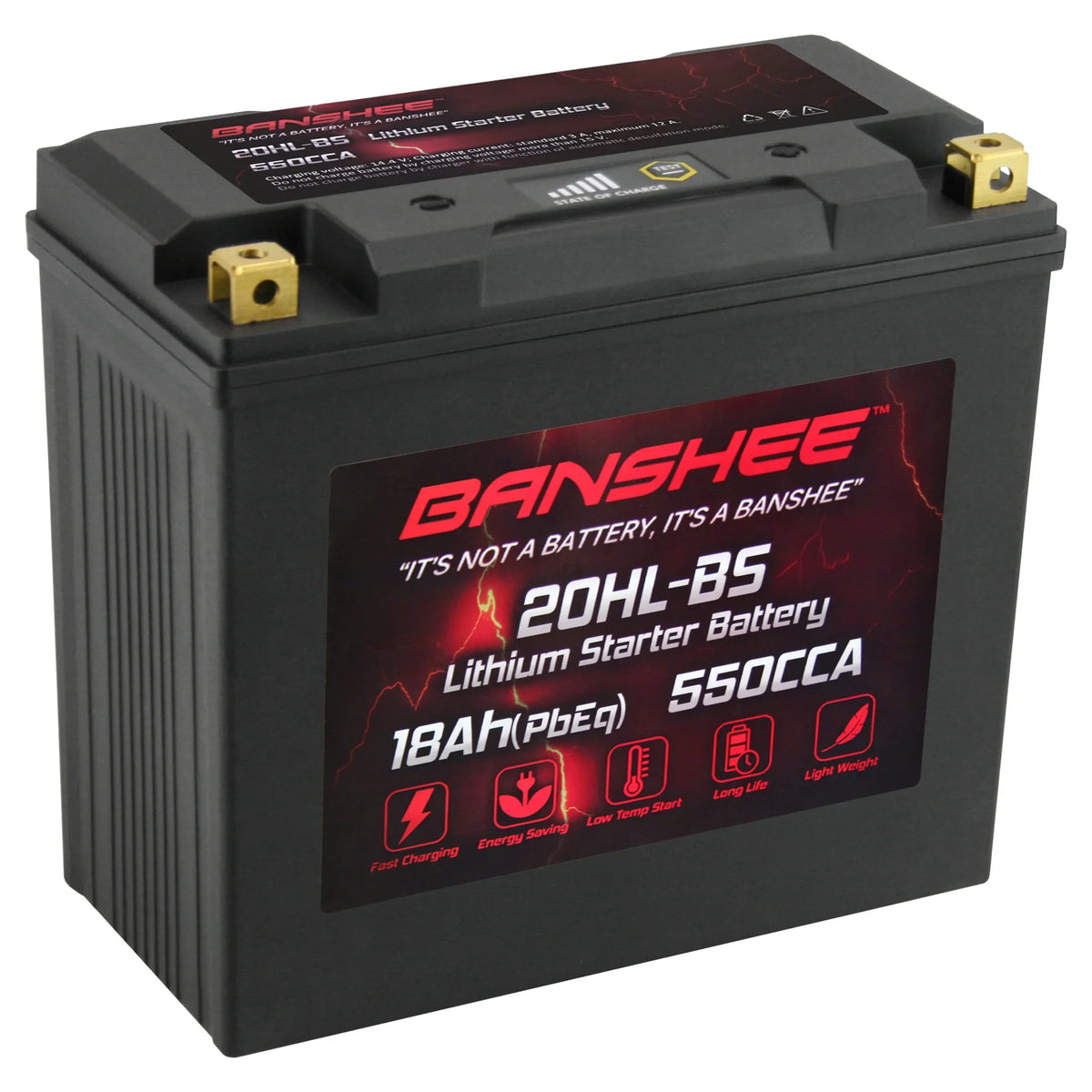 Banshee 20L-BS LiFePO4 Motorsports Battery Compatible with Yamaha VX1100D WaveRunner V1 Sport 2015 to 2015