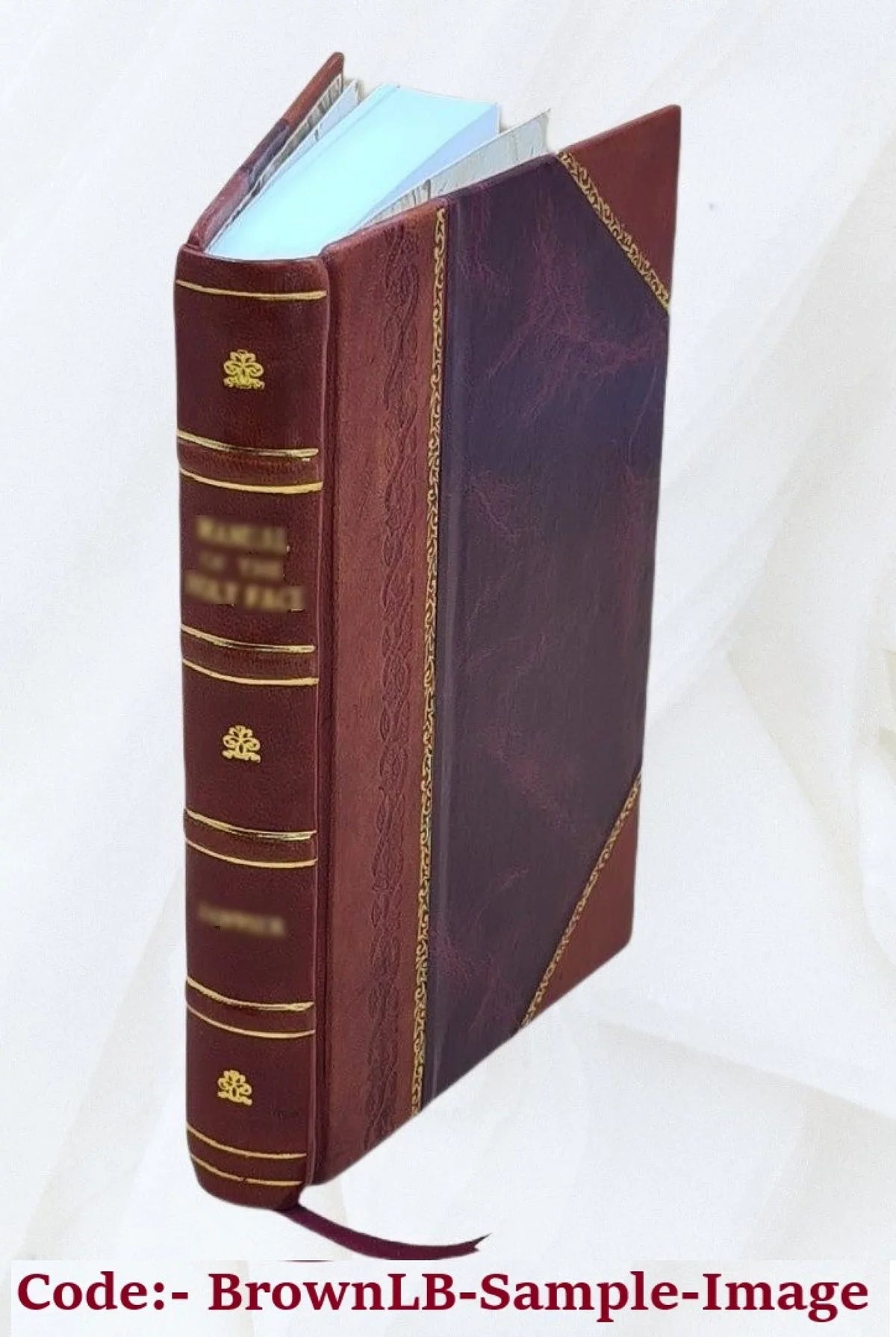Commercial fishing marketing : [transcript of] hearing [San Pedro] November [18] 19; 1968. 1968 [Leather Bound]