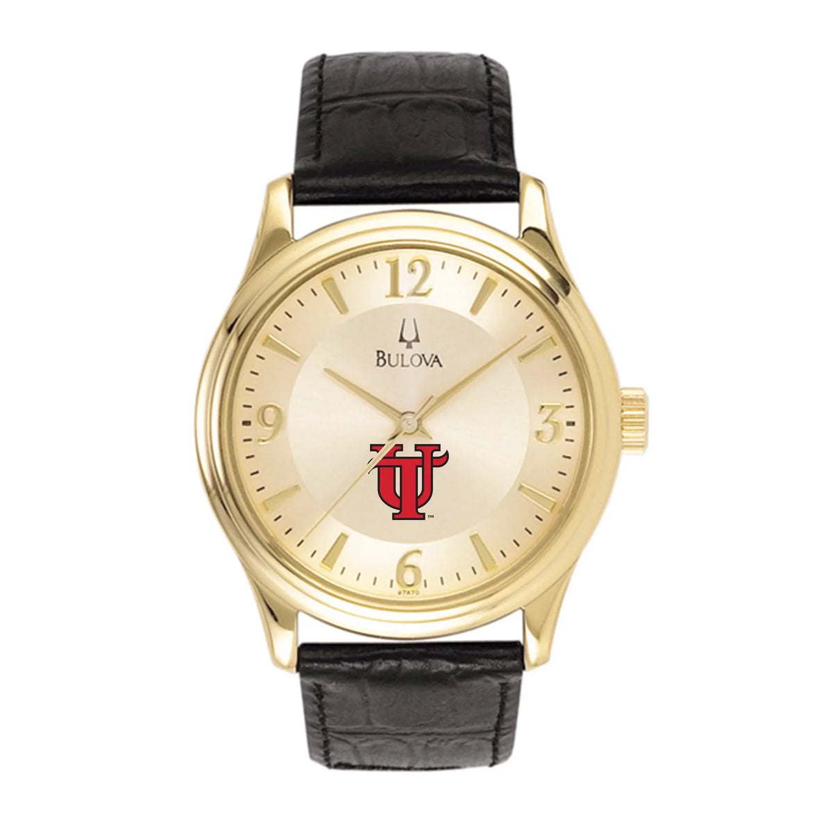 Men's Bulova Gold/Black Tampa Spartans Stainless Steel Watch with Leather Band