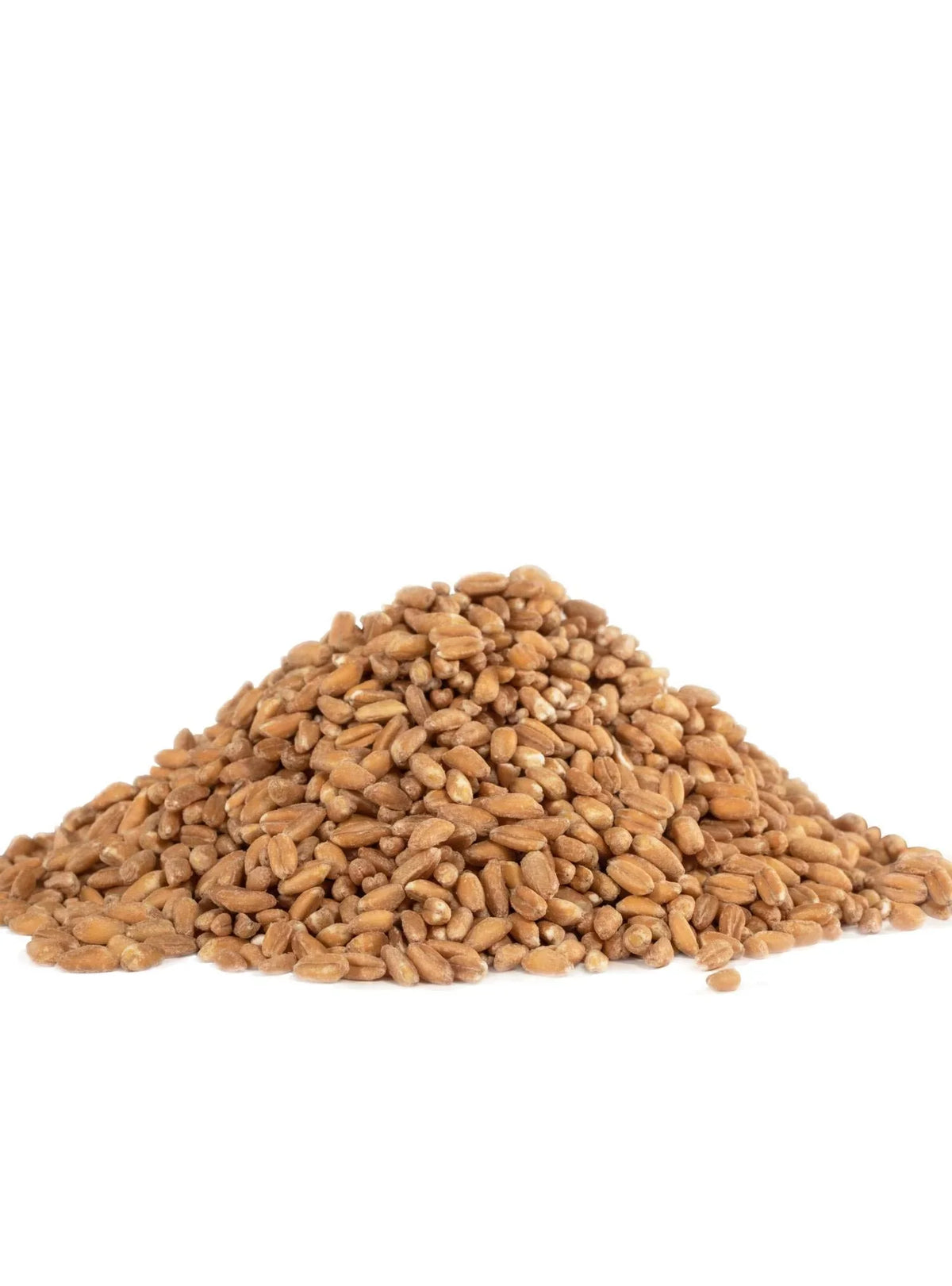 Bob's Red Mill Organic Farro Grain; 24 Ounce (Pack of 4)