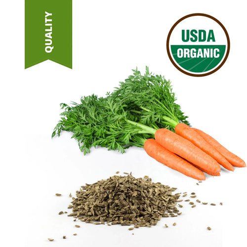 1 Gallon 100% Pure High Quality Carrot Seed Oil Certified Unrefined Carrier Oil