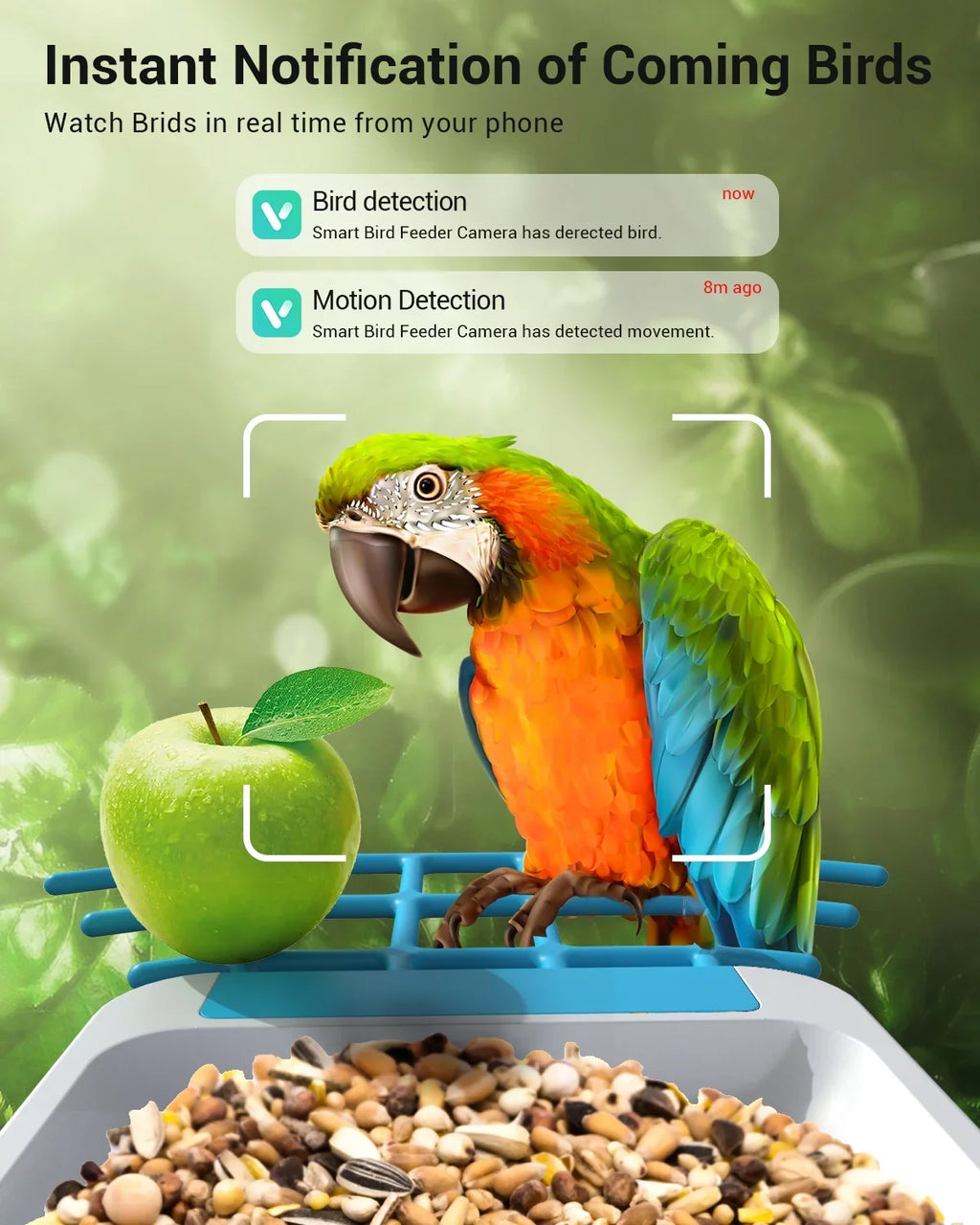 TMEZON Smart Bird Feeder with Camera; Bird Feeder House with 1080P Battery Security Camera Solar Powered Auto Capture Bird Videos Wireless Outdoor