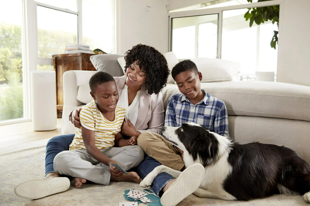 Filtrete 16x25x1 Smart Air Filter; MPR 2200 MERV 13; Premium Allergen & Home Pollutants; Captures Smoke; Bacteria and Viruses; 1 Filter