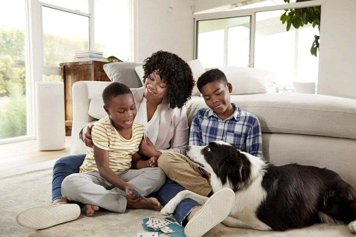 Filtrete 16x25x1 Smart Air Filter; MPR 2200 MERV 13; Premium Allergen & Home Pollutants; Captures Smoke; Bacteria and Viruses; 1 Filter