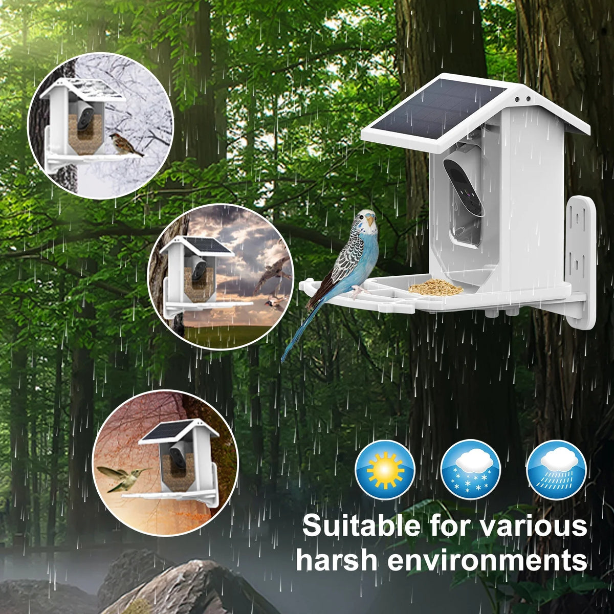Aibecy Low Solar Bird Camera 1080P Night Vision Camera IP66 Waterproof for Birds and Wildlife